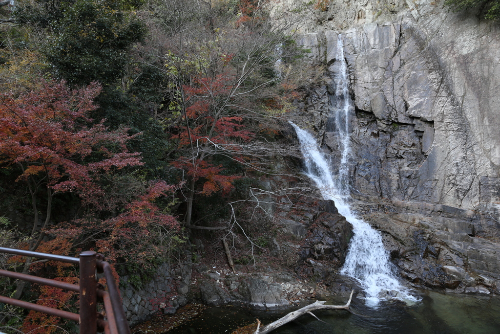 12月2日 布引の滝 ３