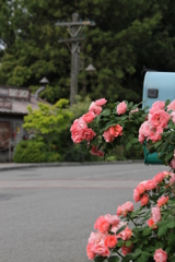 USJ風景 27 USJ風景 27