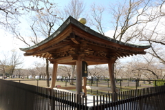 3月19日 万博記念公園 39