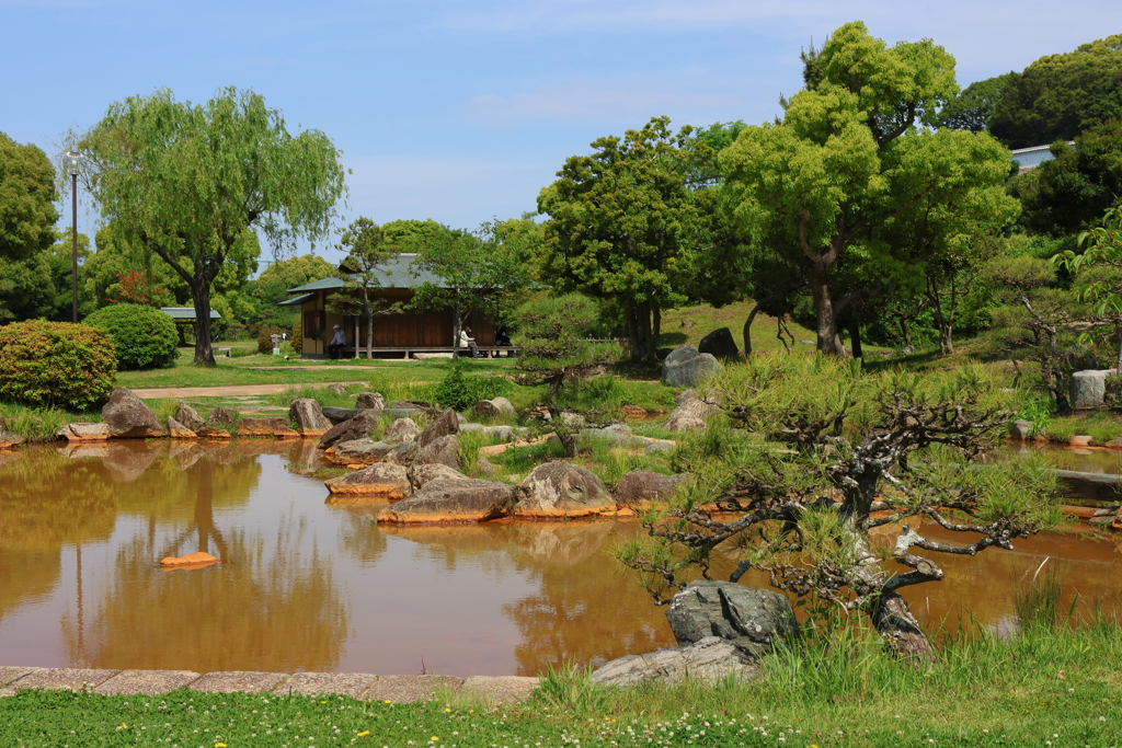 5月21日 明石公園 ４