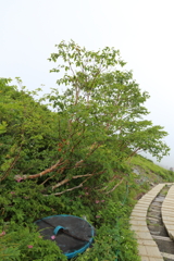 8月10日 松本 30