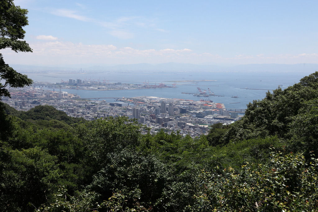 7月22日 布引ハーブ園 ４