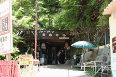 5月14日 長距離散歩 13