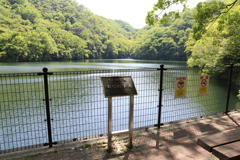 5月5日 布引の滝 １