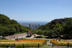 5月28日 布引ハーブ園 64