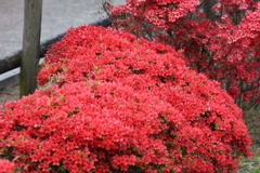 4月18日 長岡天神 18