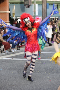 1月19日のUSJ Ⅲ