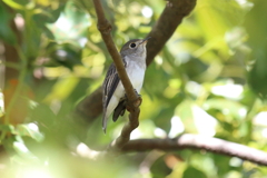 9月25日 明石公園 ３