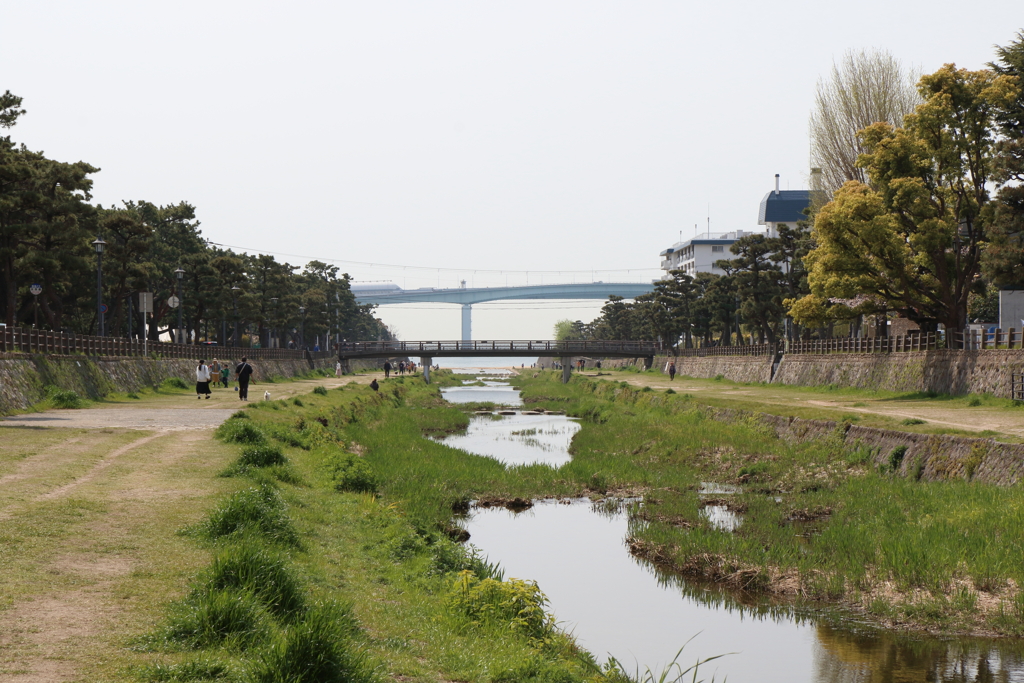 4月16日 散歩 10