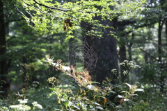 8月14日 上高地 14 8月14日 上高地 14