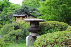 5月18日 相楽園 ６
