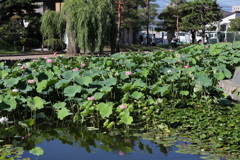 8月13日 松本 113