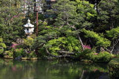 4月24日 相楽園 25