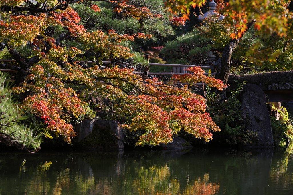 10月31日 相楽園 １