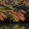 10月31日 相楽園 １