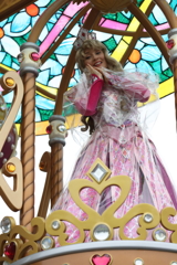 11月22日 東京ディズニーランド 23