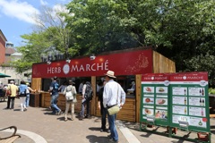 5月4日の布引ハーブ園 ４