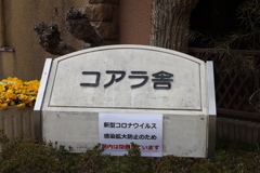 3月26日 王子動物園 32