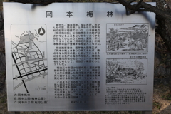 2月13日 岡本梅林公園 35