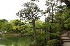 5月18日 相楽園 ８