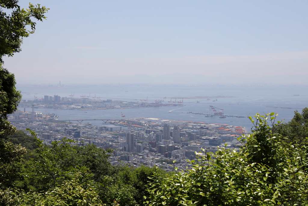 5月28日 布引ハーブ園 12