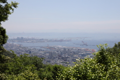 5月28日 布引ハーブ園 12