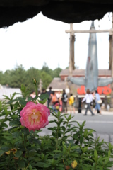 USJ風景 9 USJ風景 9