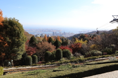 12月2日 布引ハーブ園 2 12月2日 布引ハーブ園 2