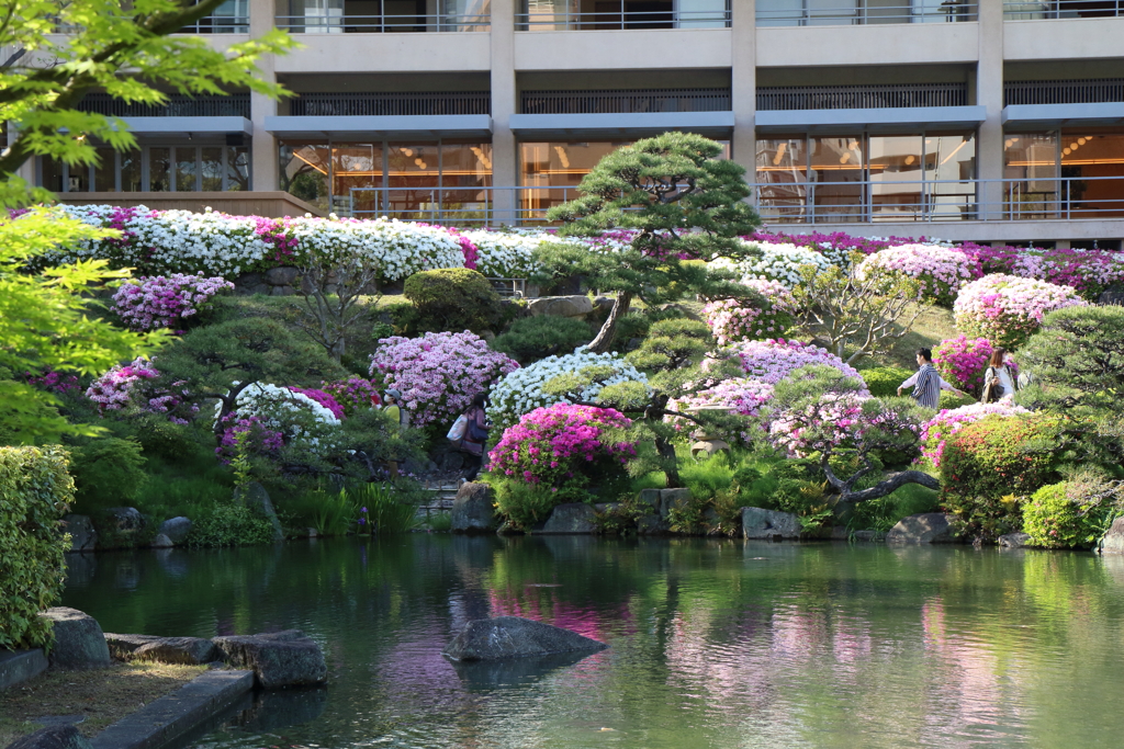 4月24日 相楽園 14