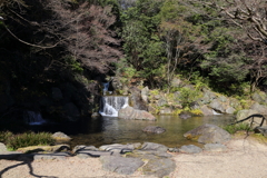3月19日 万博記念公園 23