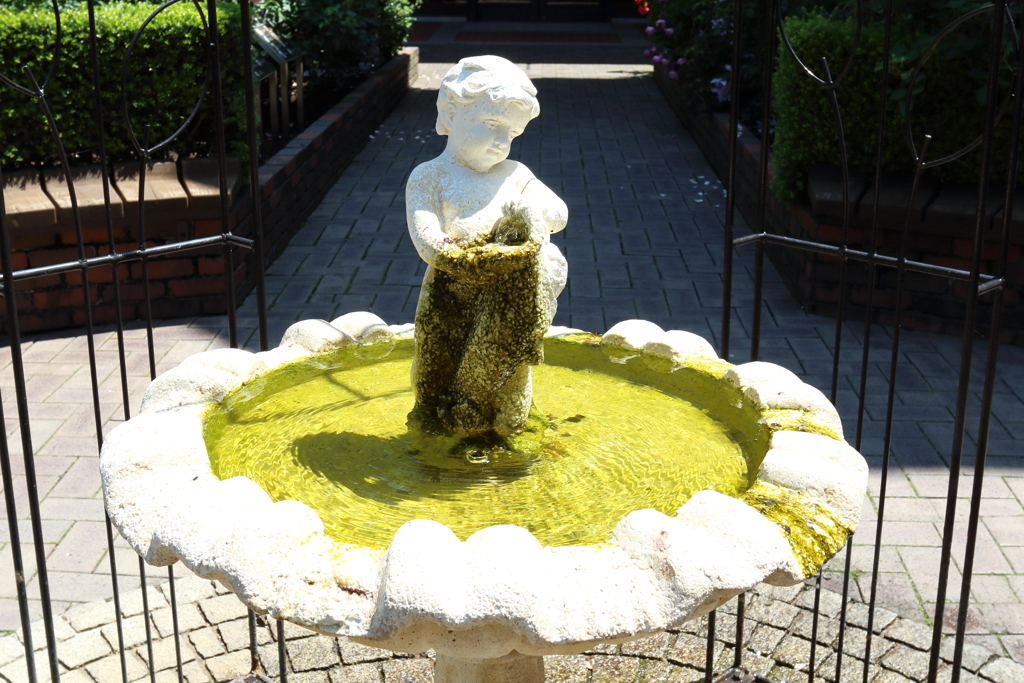 6月9日 布引ハーブ園 ９