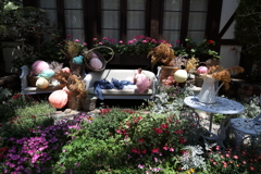 5月28日 布引ハーブ園 46