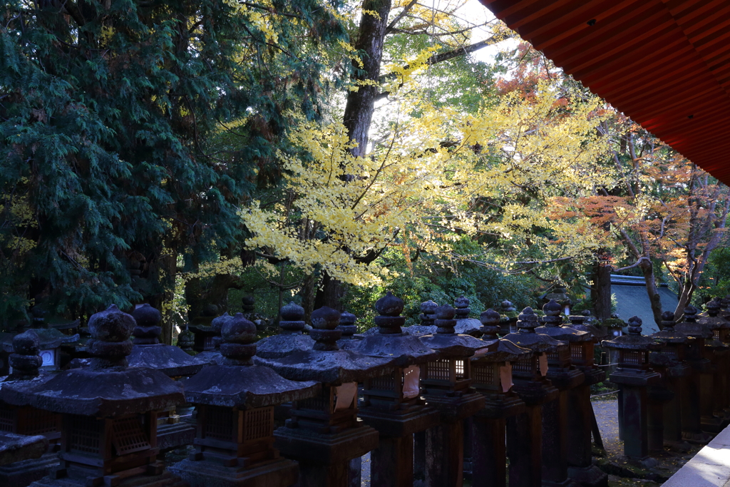 11月30日 奈良 18