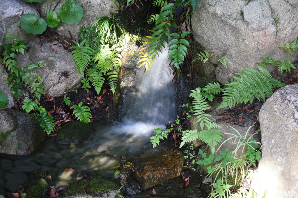 10月31日 相楽園 ２