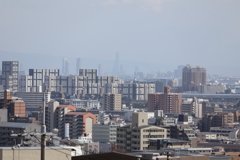 3月5日 岡本公園 33