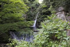 5月5日 布引の滝 ８
