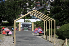 8月27日 相楽園 ４
