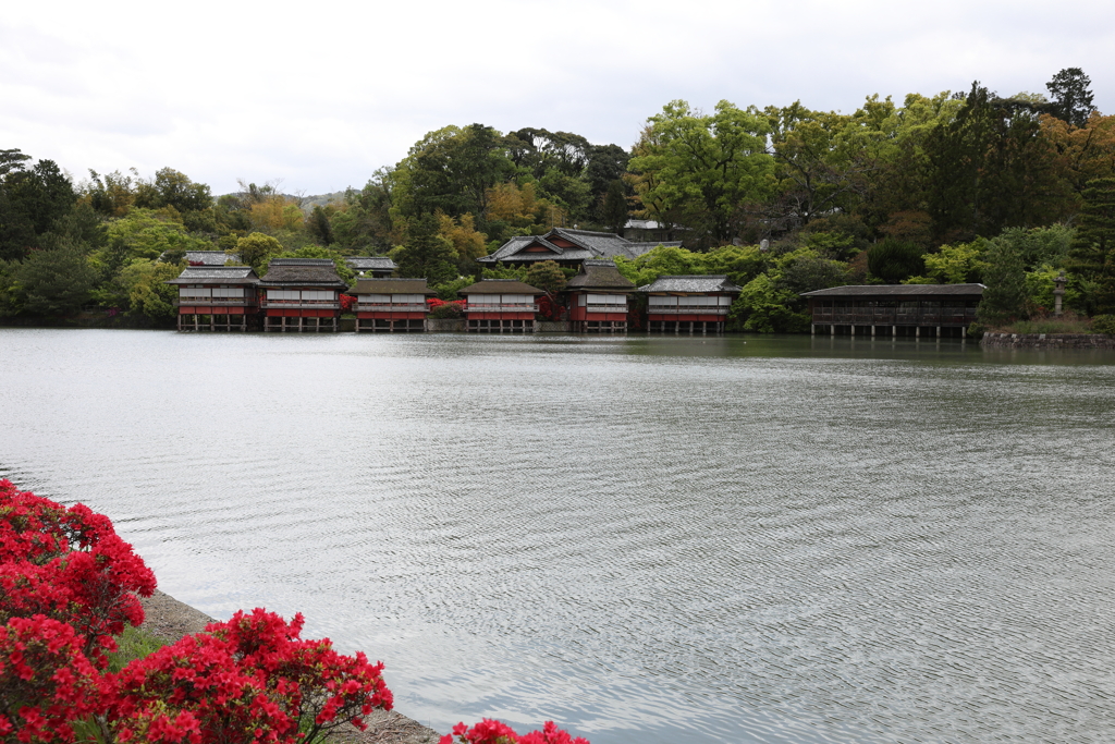 4月18日 長岡天神 １