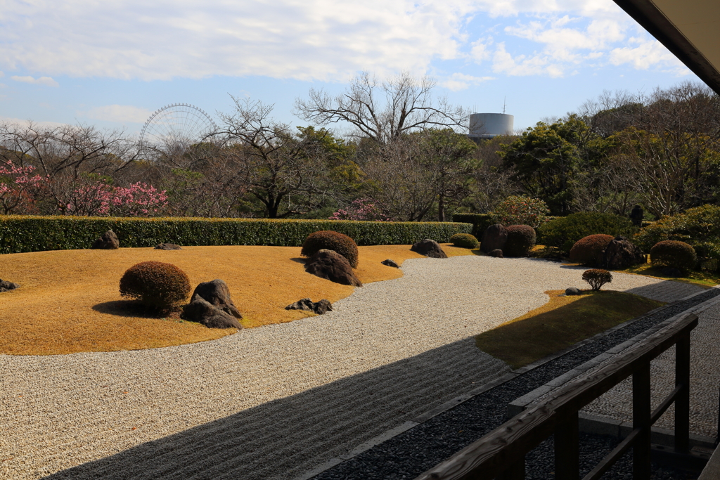 3月19日 万博記念公園 24