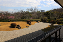 3月19日 万博記念公園 24