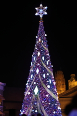 11月23日 USJ 31