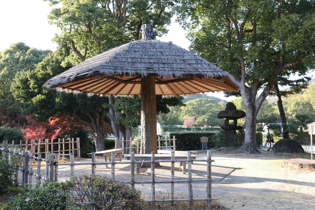 12月6日 須磨離宮公園 ９