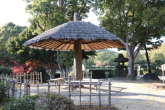 12月6日 須磨離宮公園 ９