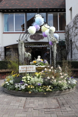 3月20日 布引ハーブ園 ３