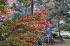 11月23日 京都 34