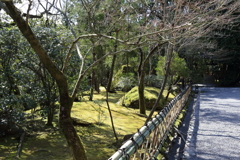 3月20日 京都嵐山 47