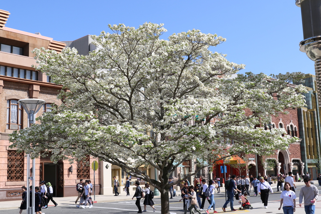 4月19日のUSJ ６