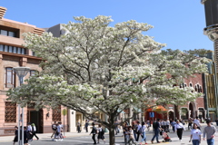4月19日のUSJ 6 4月19日のUSJ 6