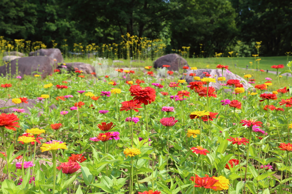 8月10日 松本 42