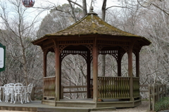 3月20日 布引ハーブ園 36